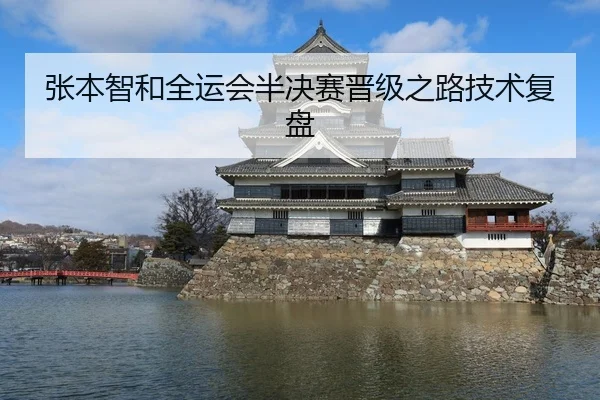 张本智和全运会半决赛晋级之路技术复盘